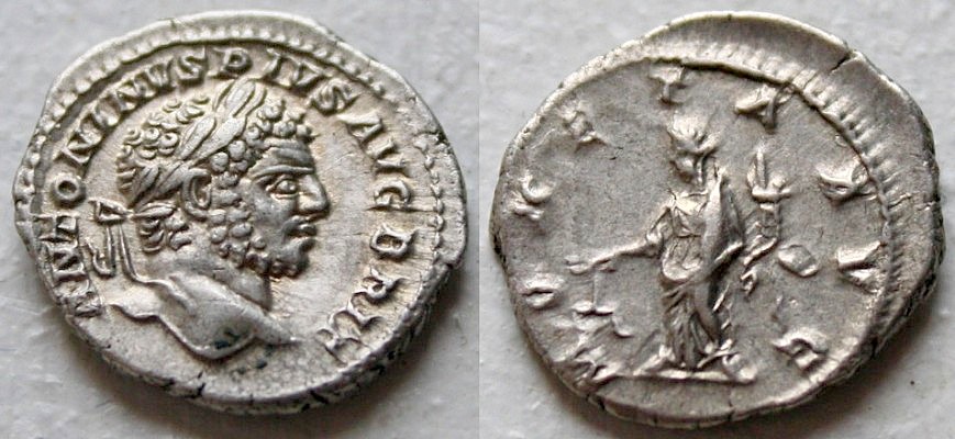 1-normal_CARACALLA.jpg