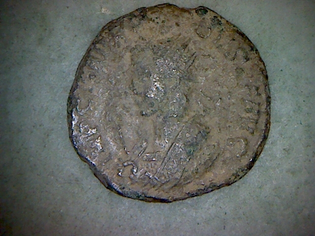 1 Probus 911 Obv.jpg