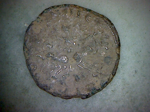1 Probus 911 Rev.jpg
