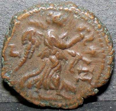 1 reverse.jpg