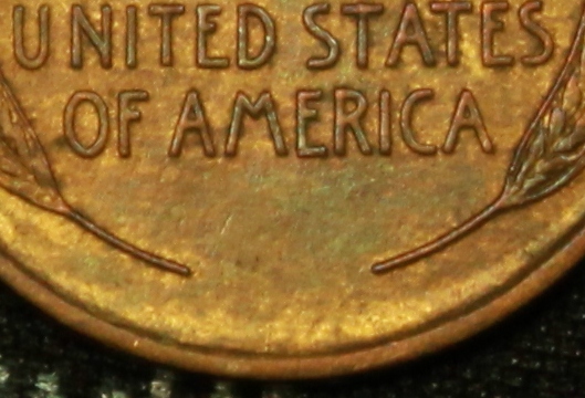 10 close up.JPG