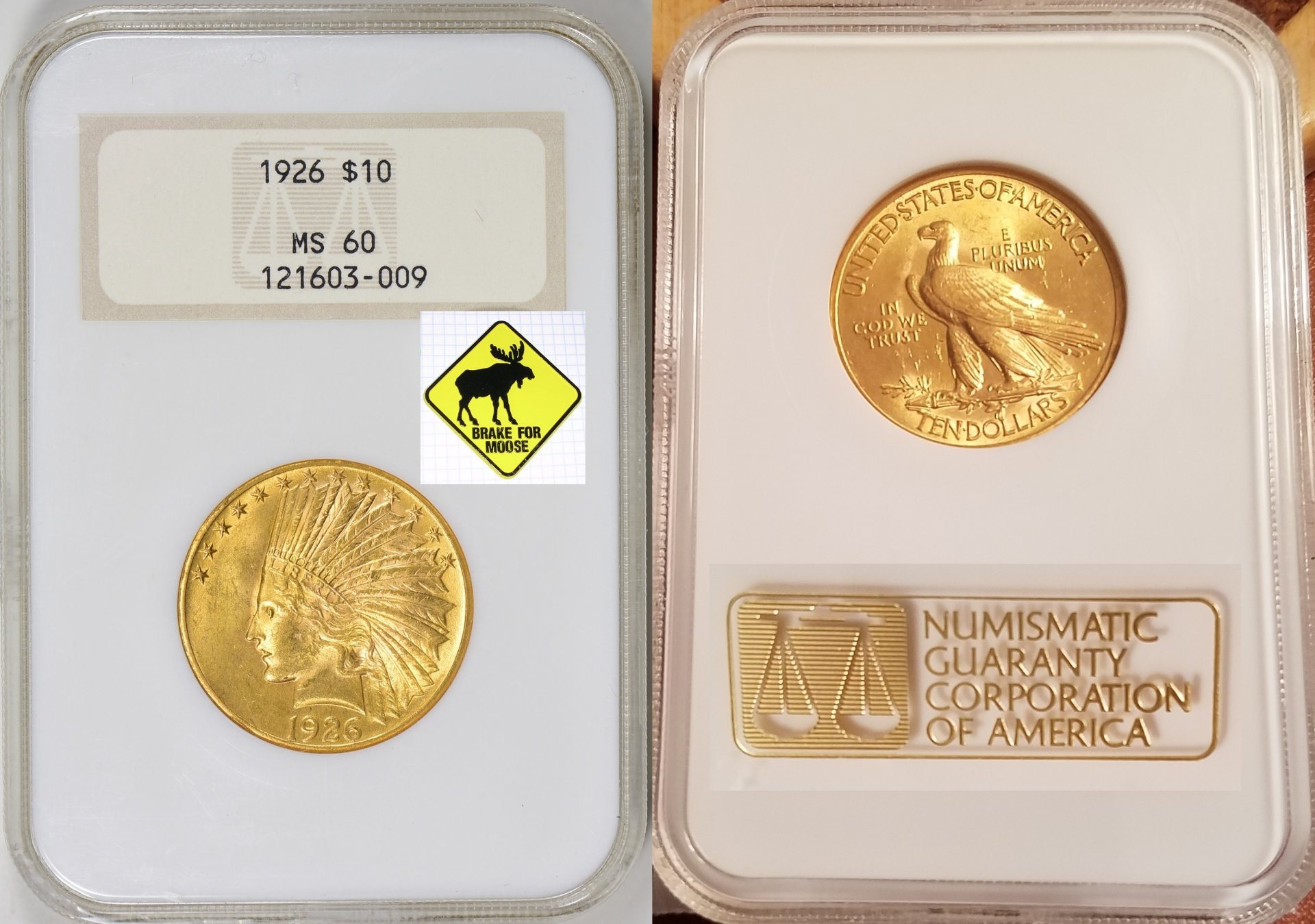 $10 Gold Indian Moose.jpg