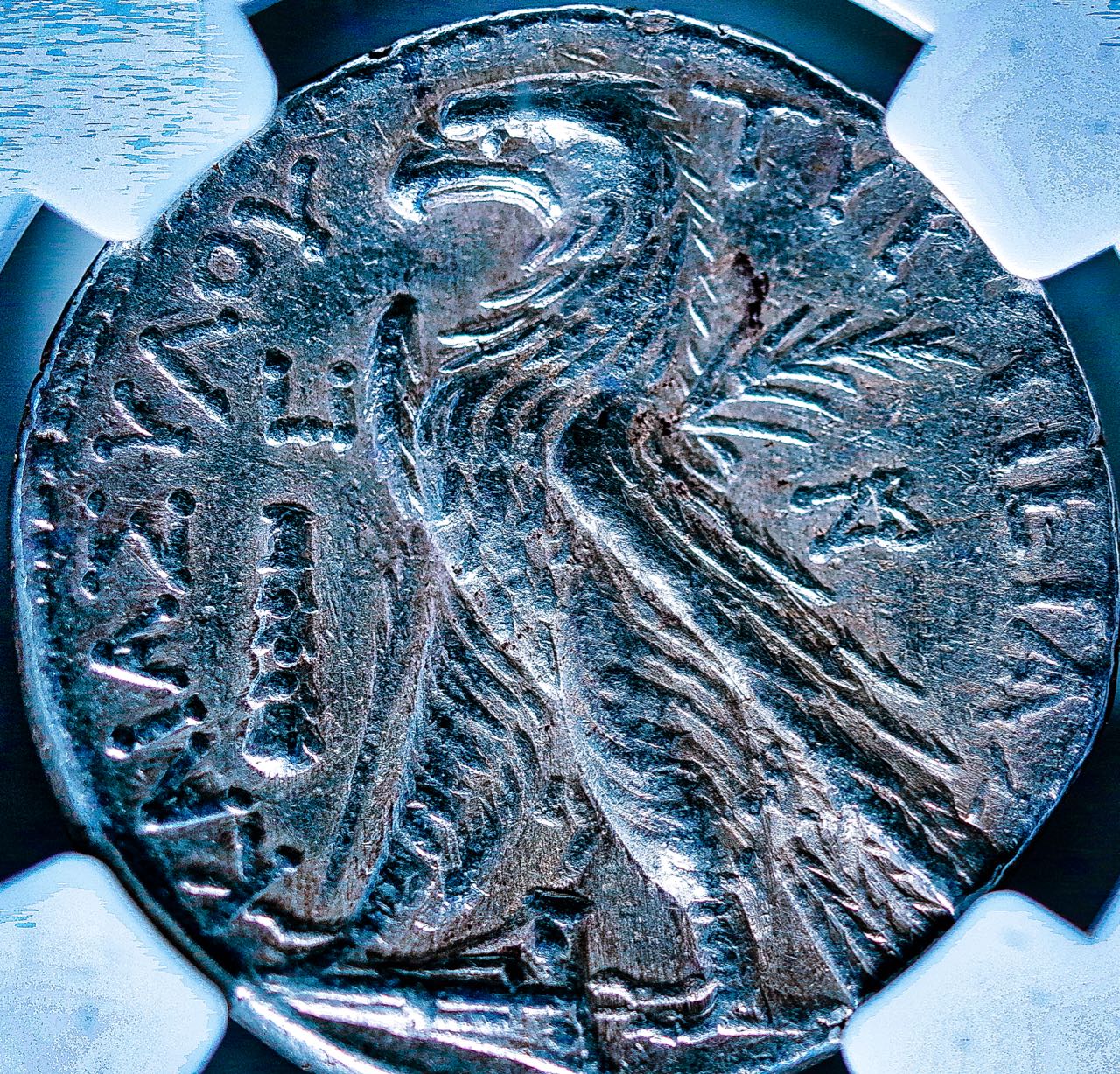 10 Shekel of Tyre.jpg