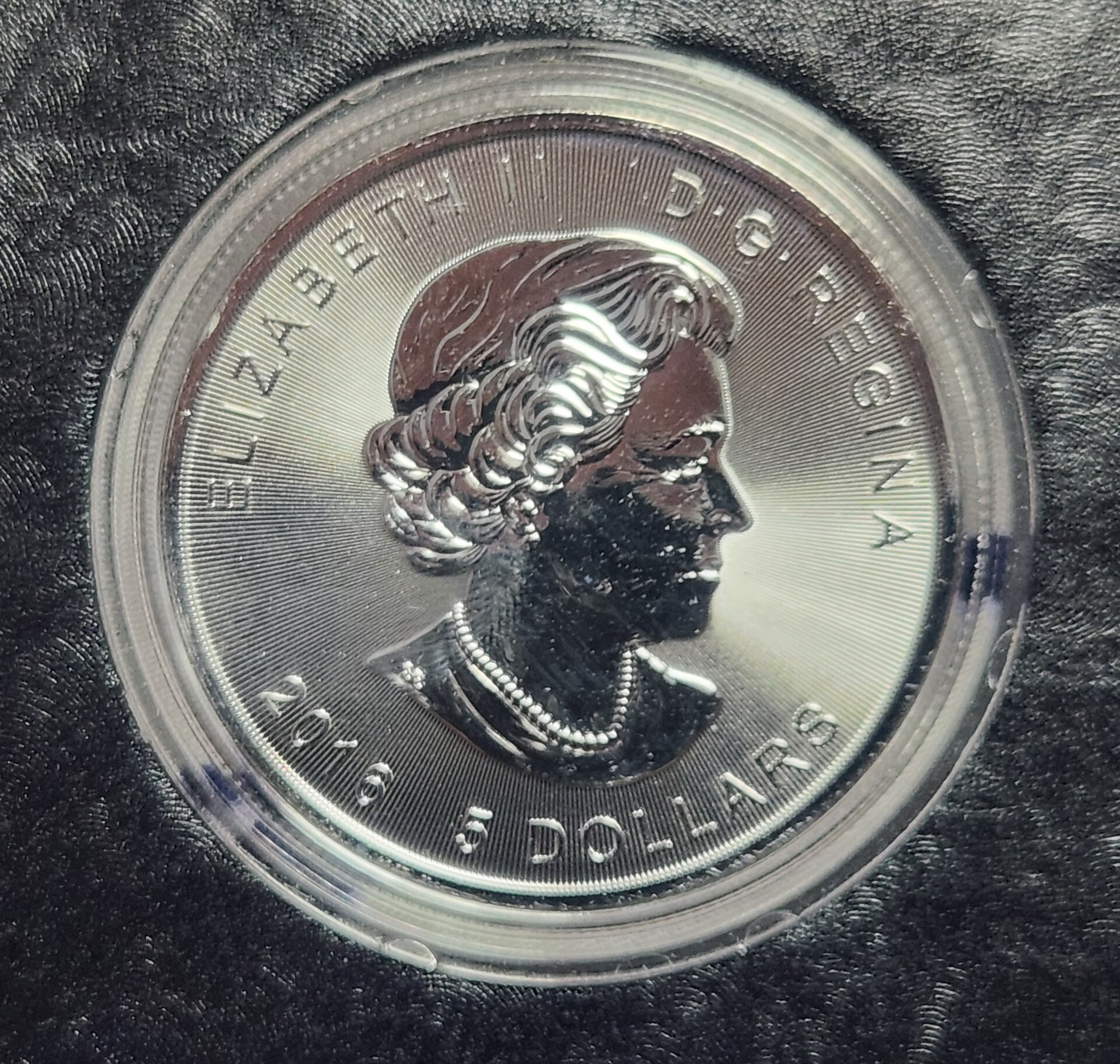 1000048861.jpg
