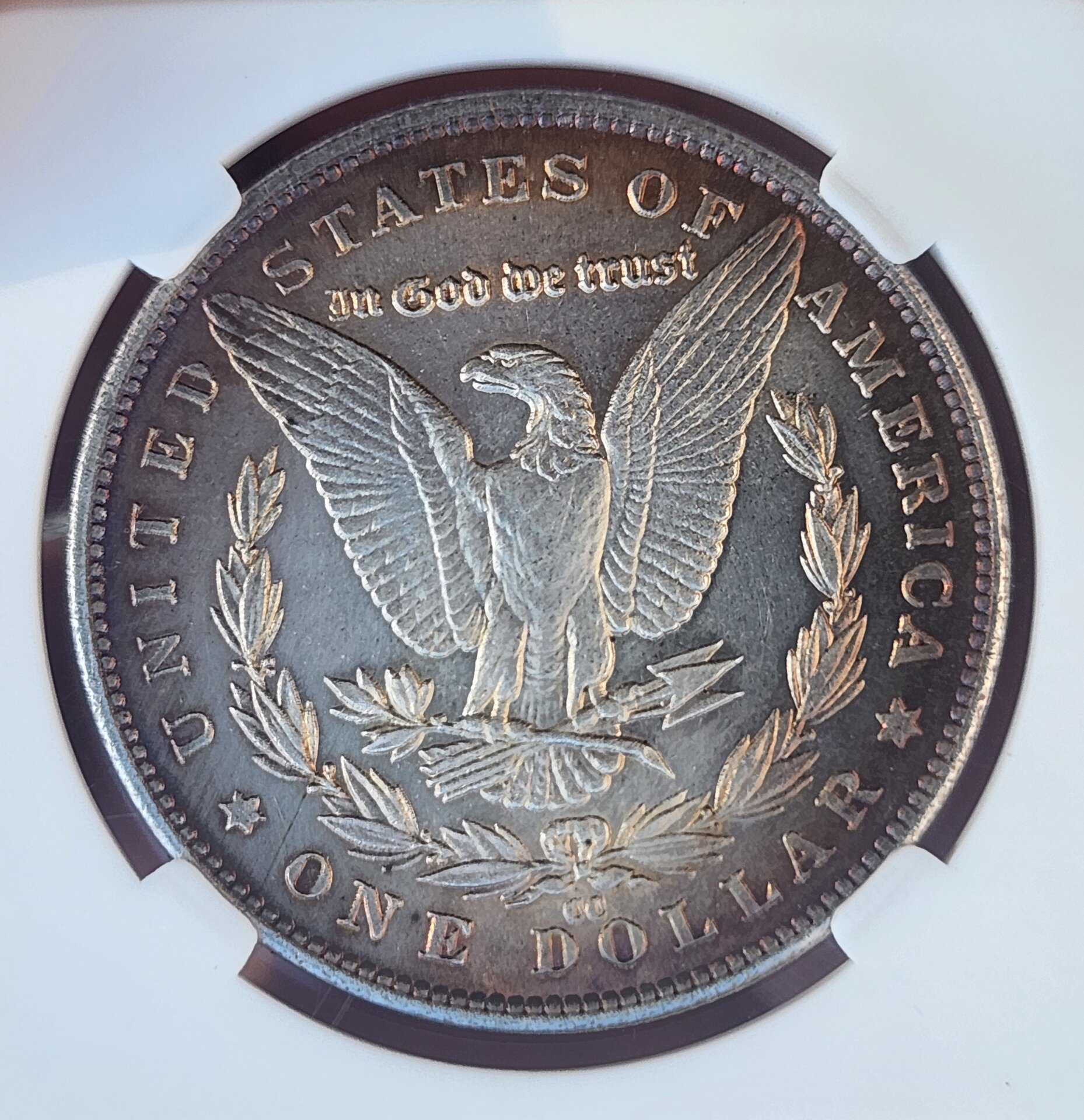 1000052433.jpg