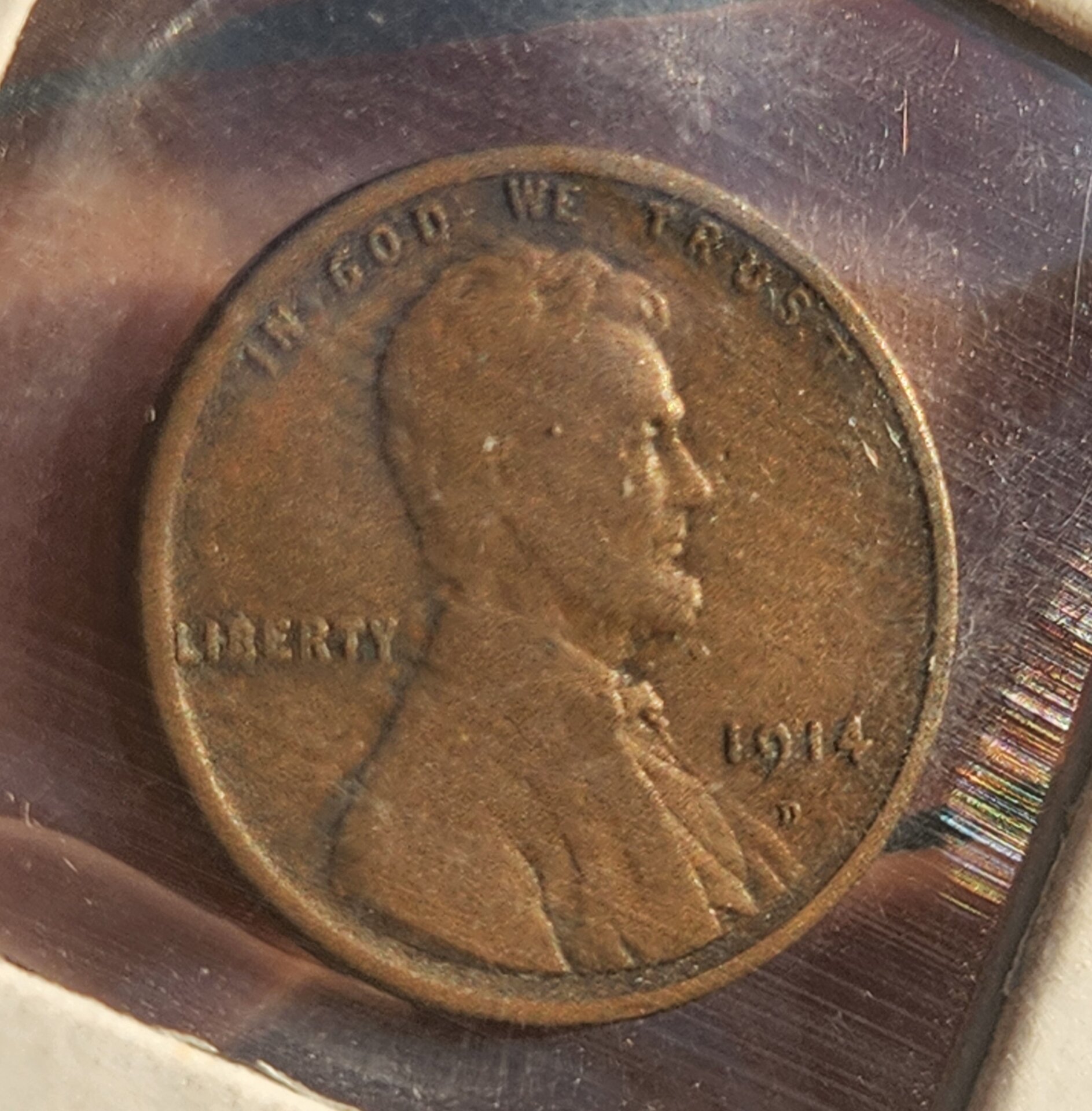 1000052434.jpg