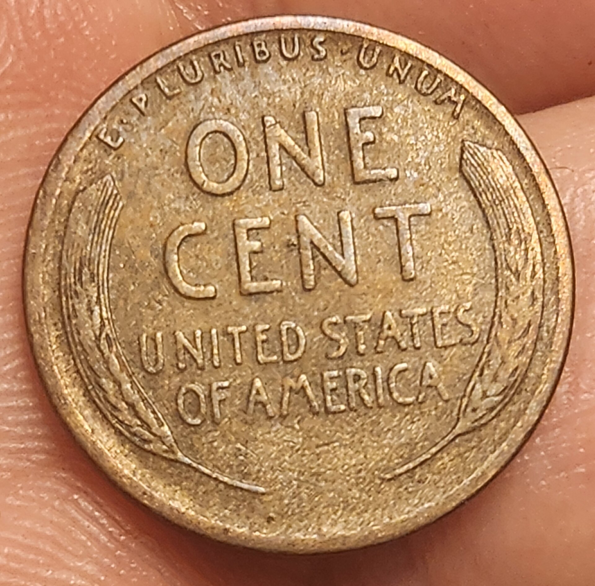 1000052440.jpg