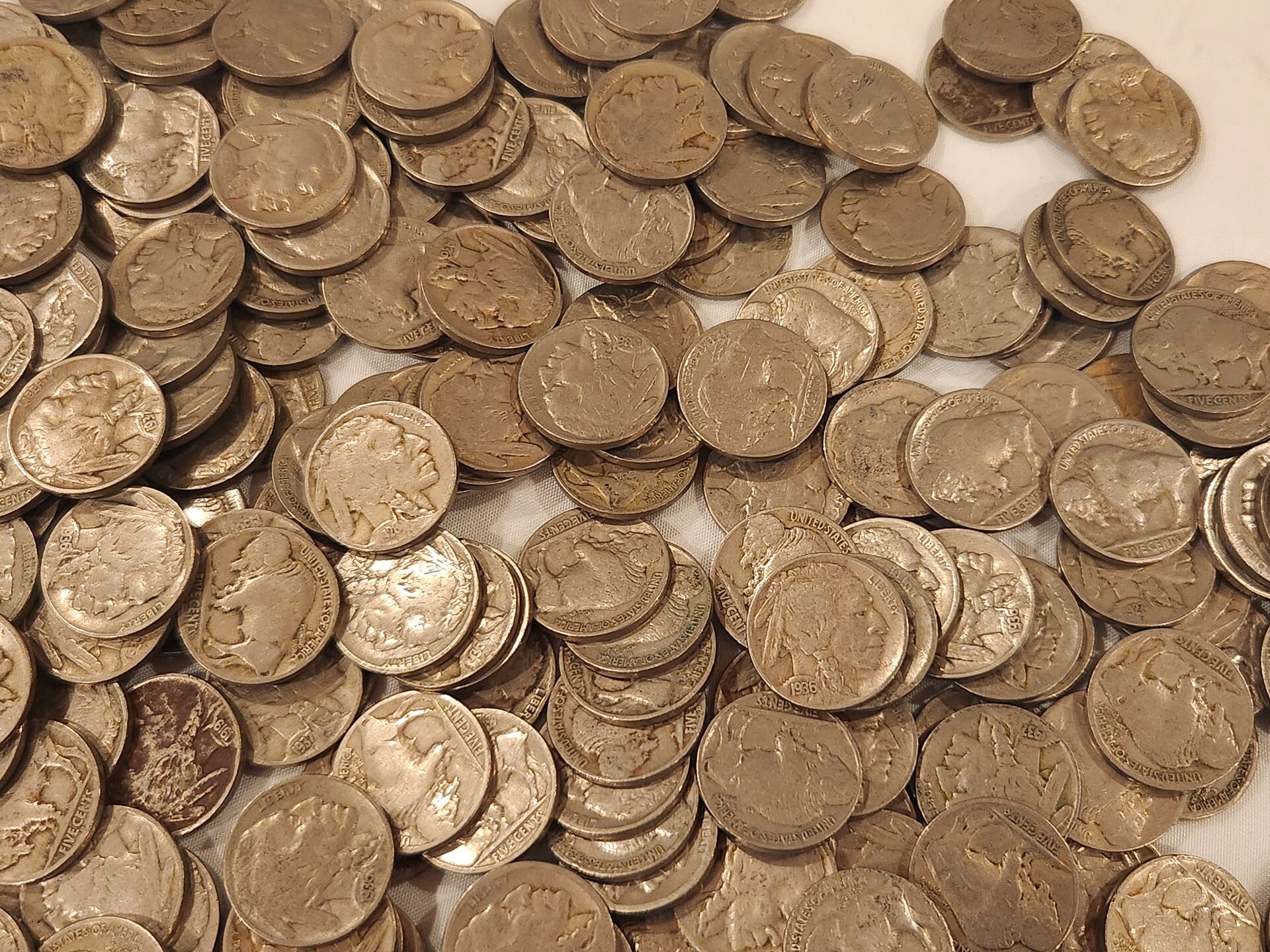 1000058810.jpg