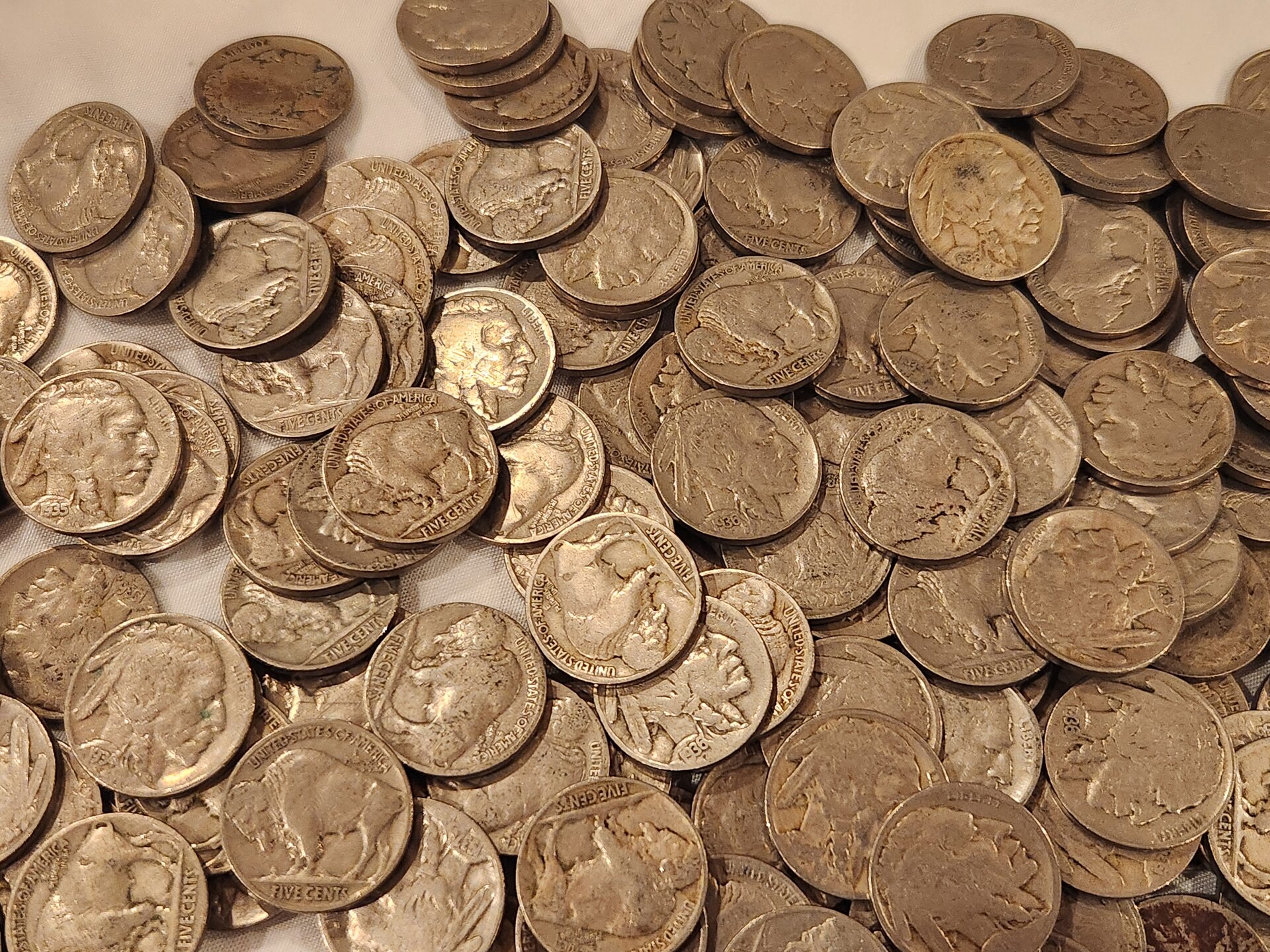 1000058813.jpg