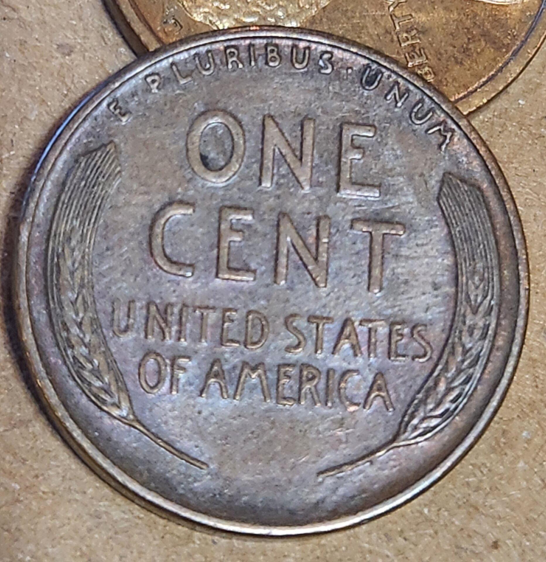 1000059914.jpg
