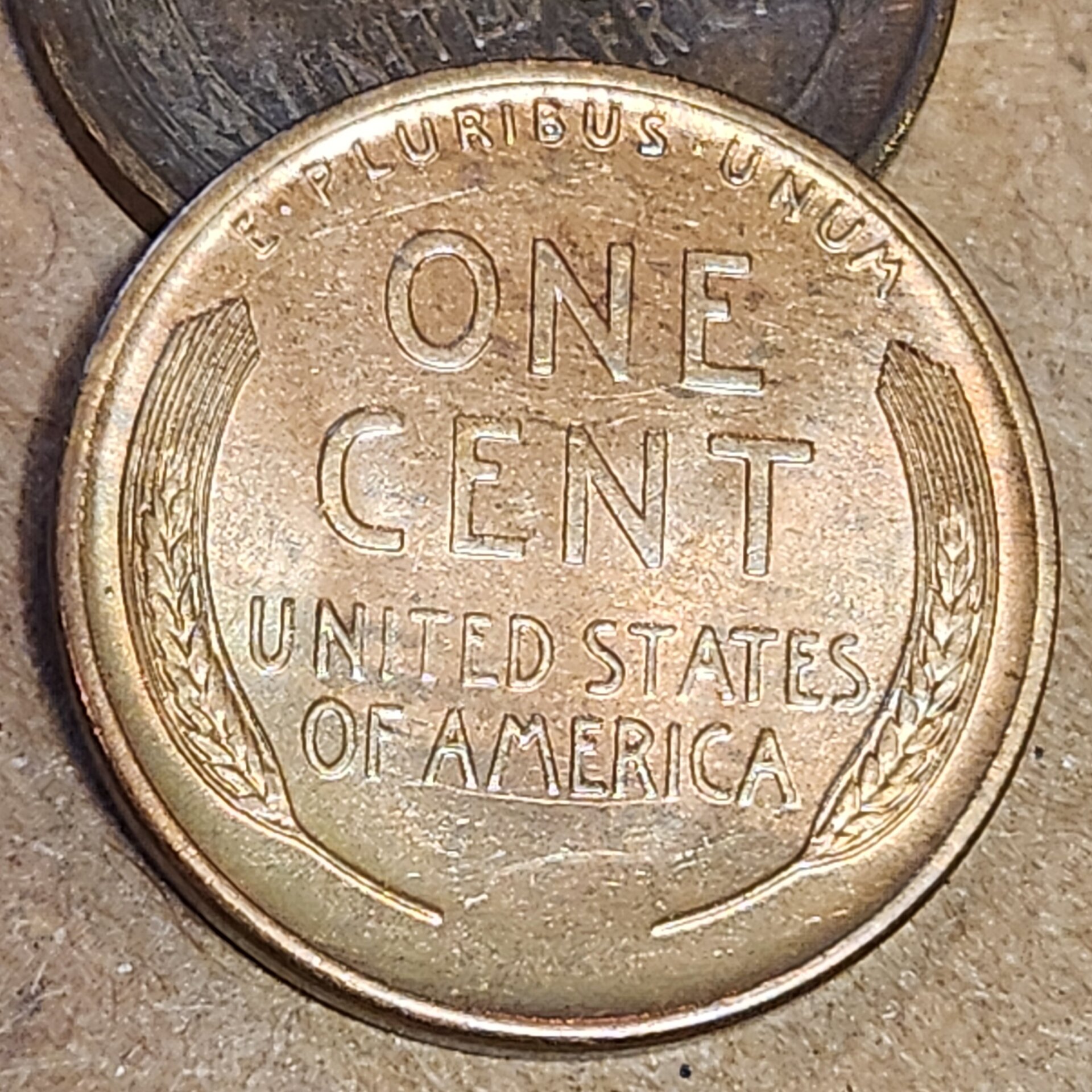 1000059917.jpg