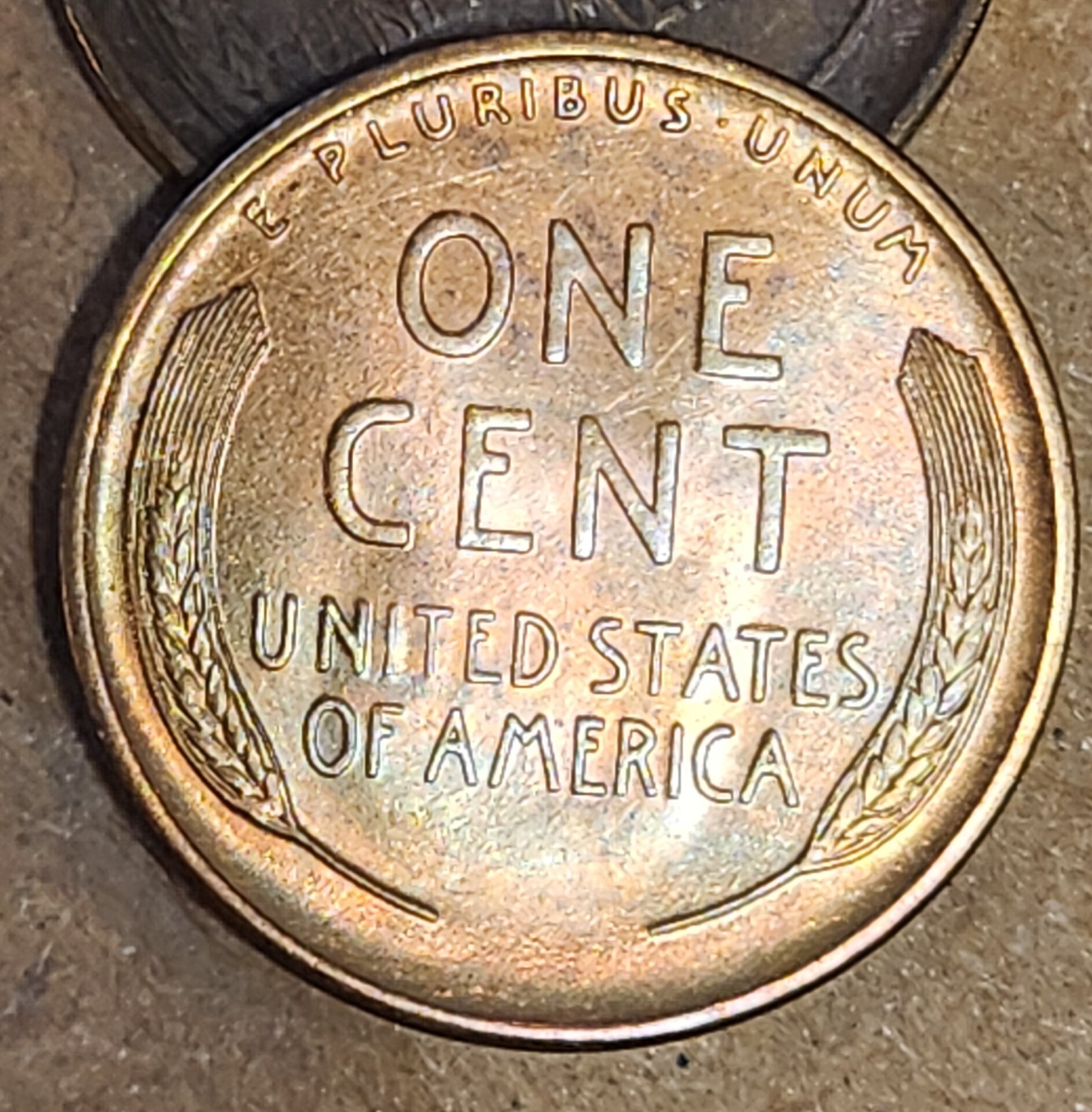 1000059918.jpg