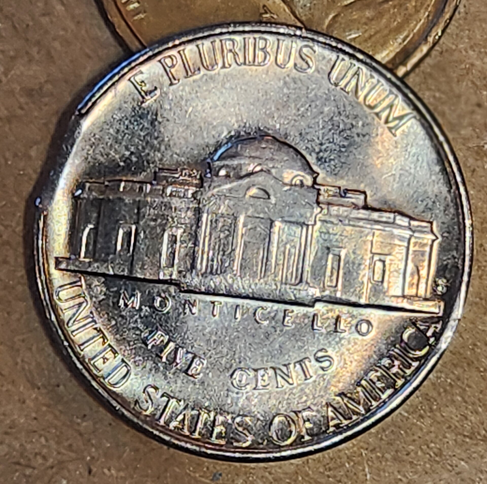 1000059923.jpg