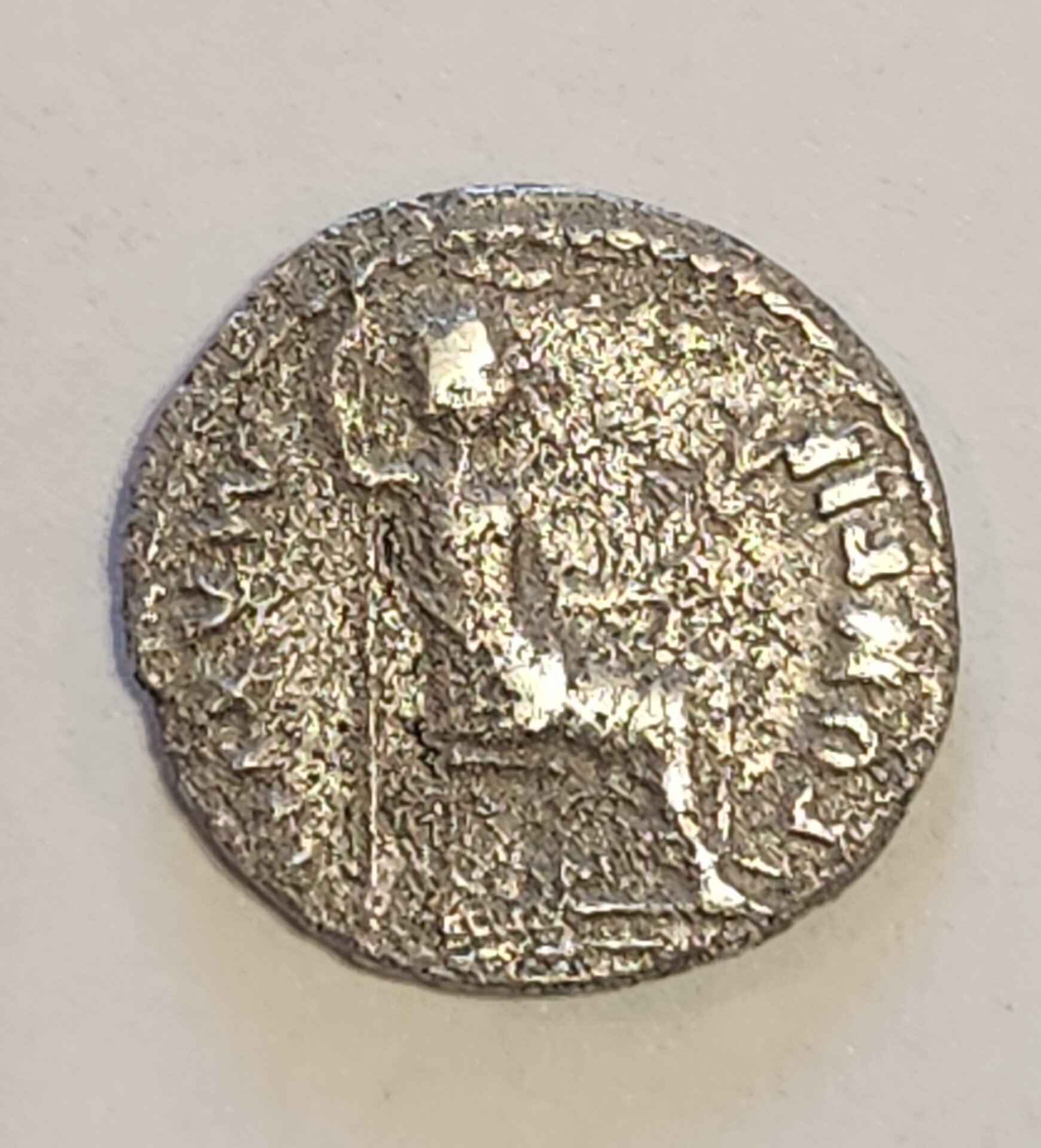 1000062292.jpg