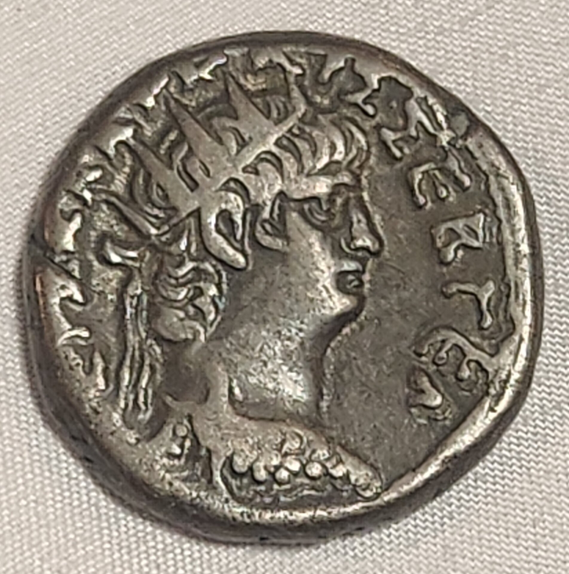 1000064519.jpg
