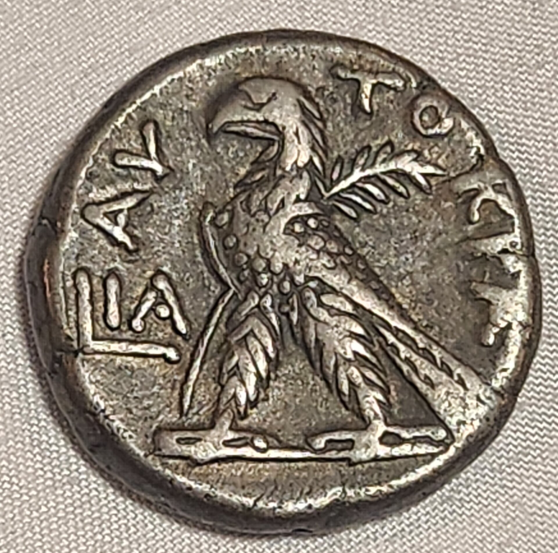 1000064520.jpg