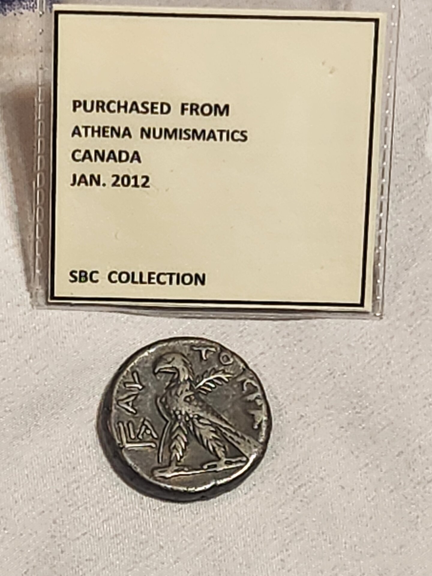 1000064523.jpg