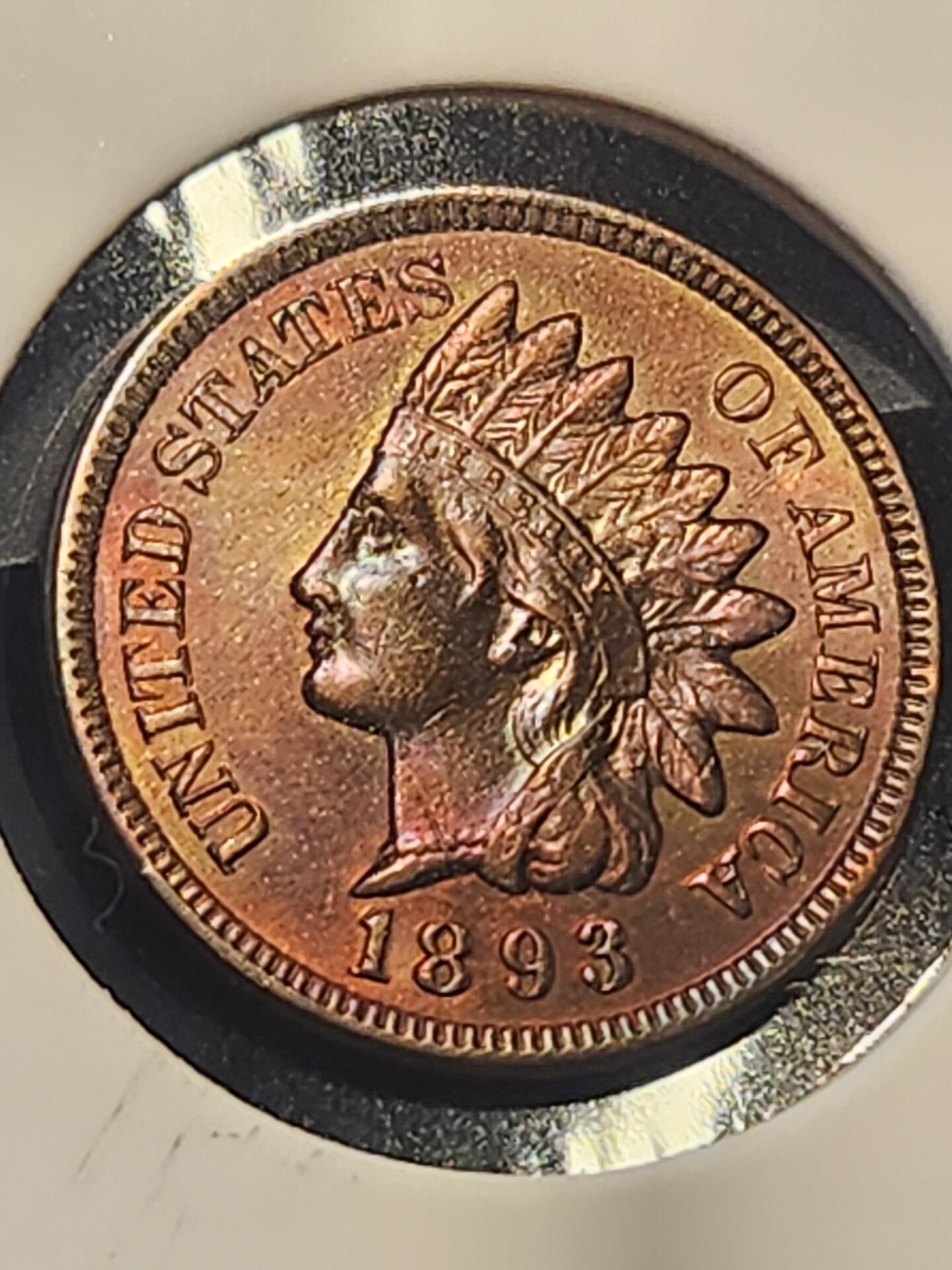 1000115461.jpg