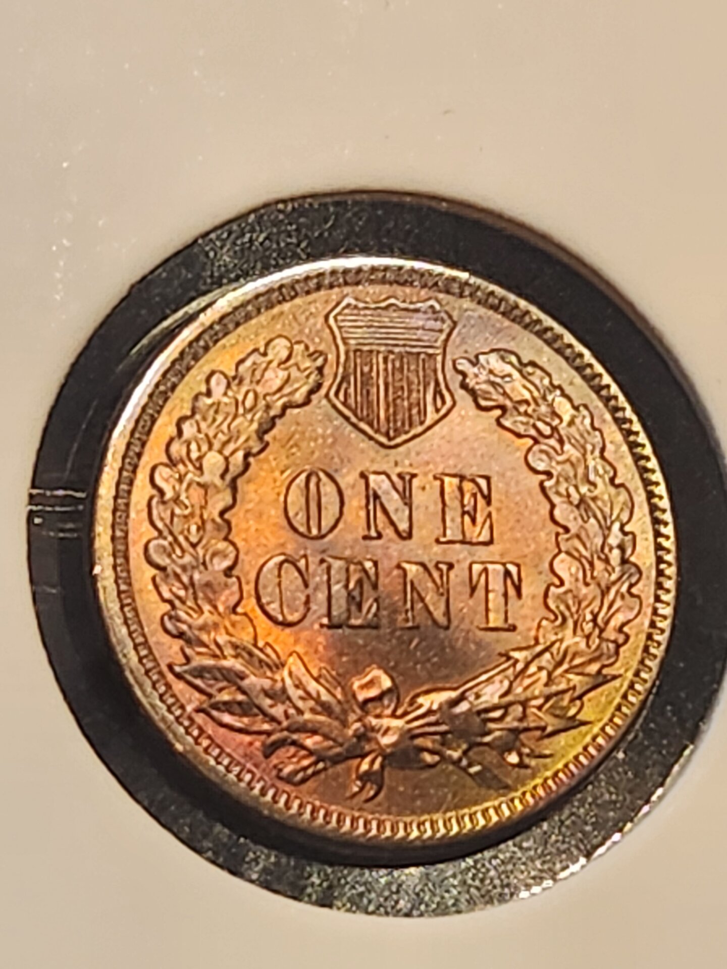 1000115462.jpg