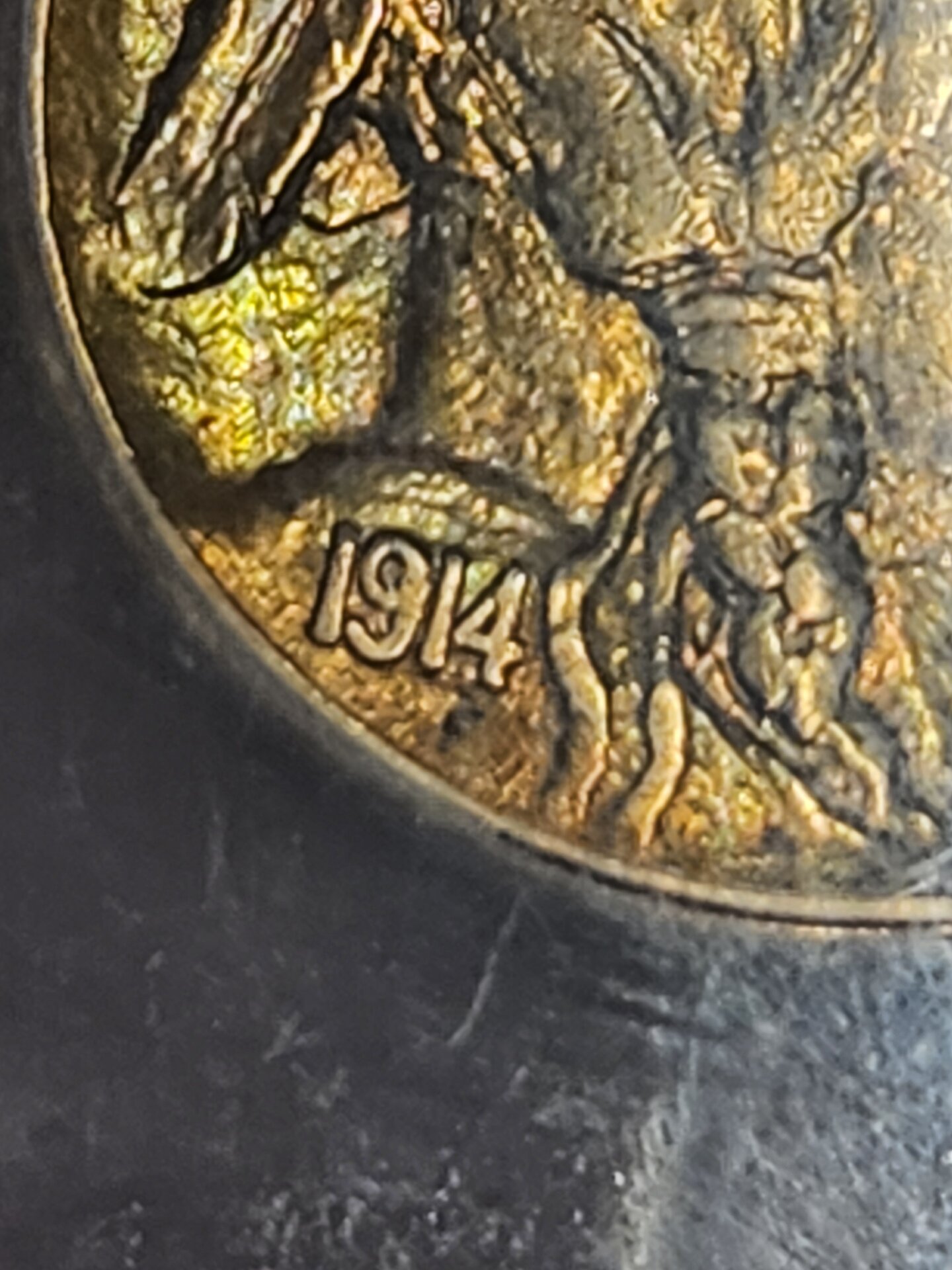 1000115468.jpg