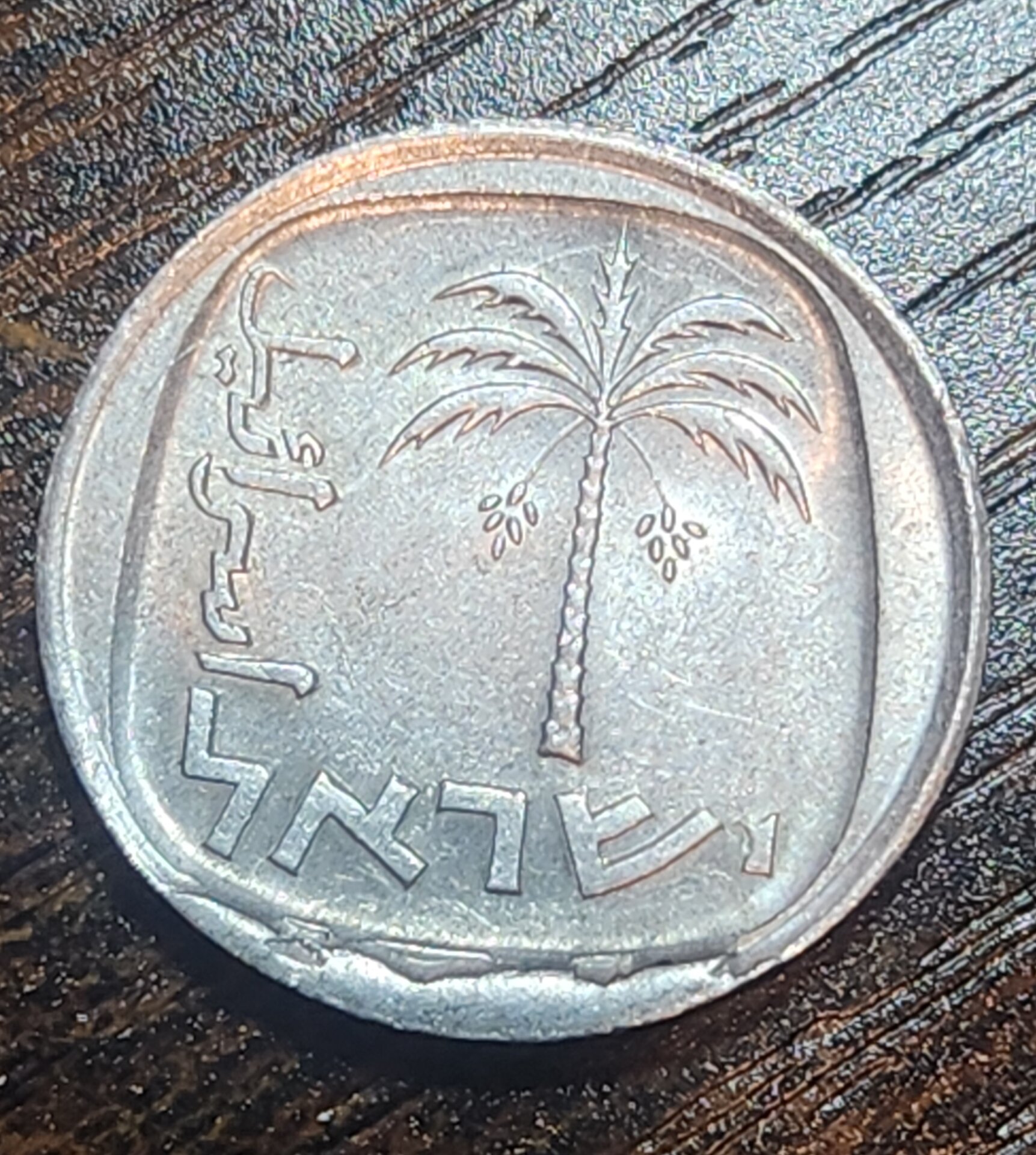 1000115511.jpg