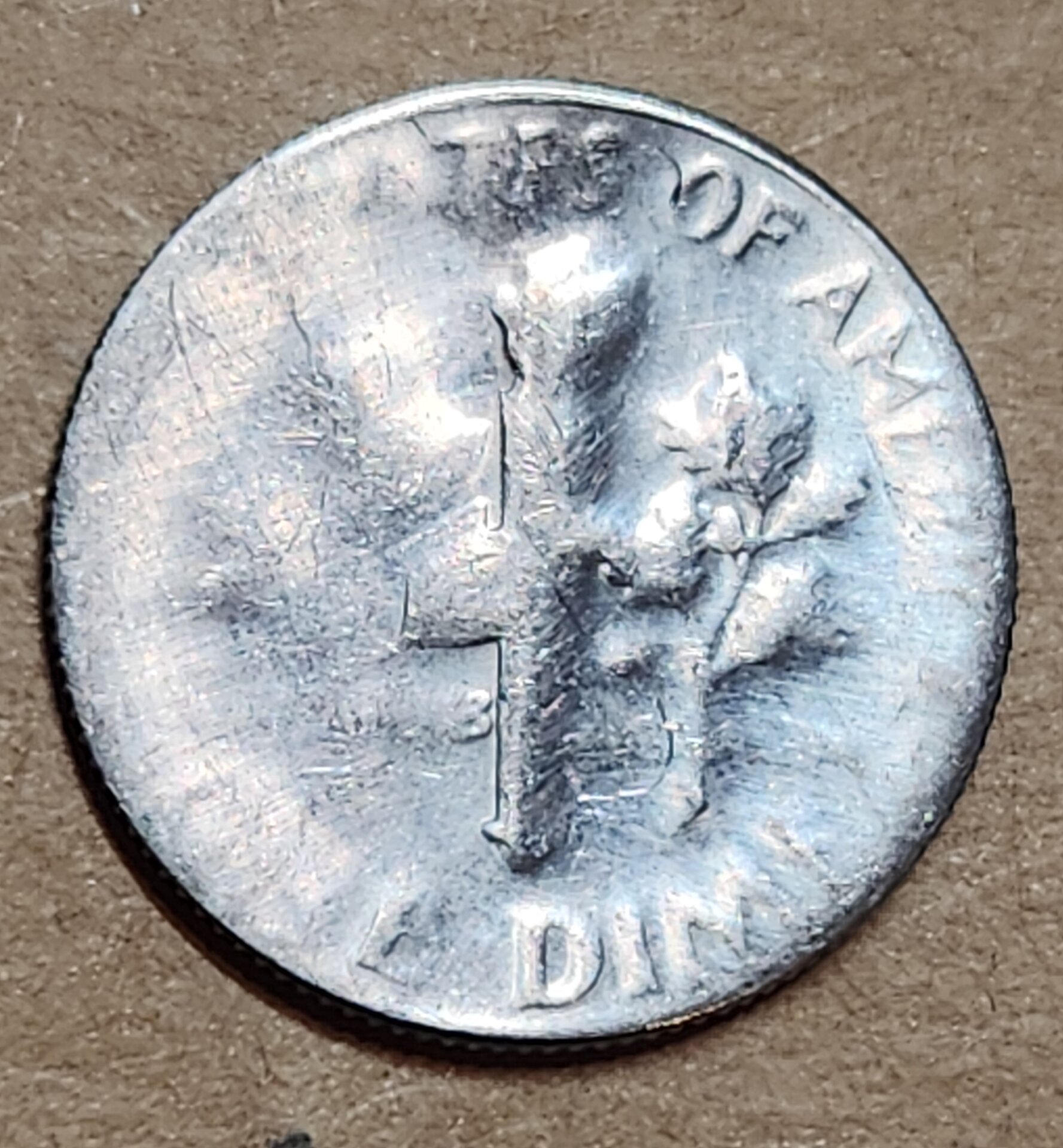 1000116131.jpg
