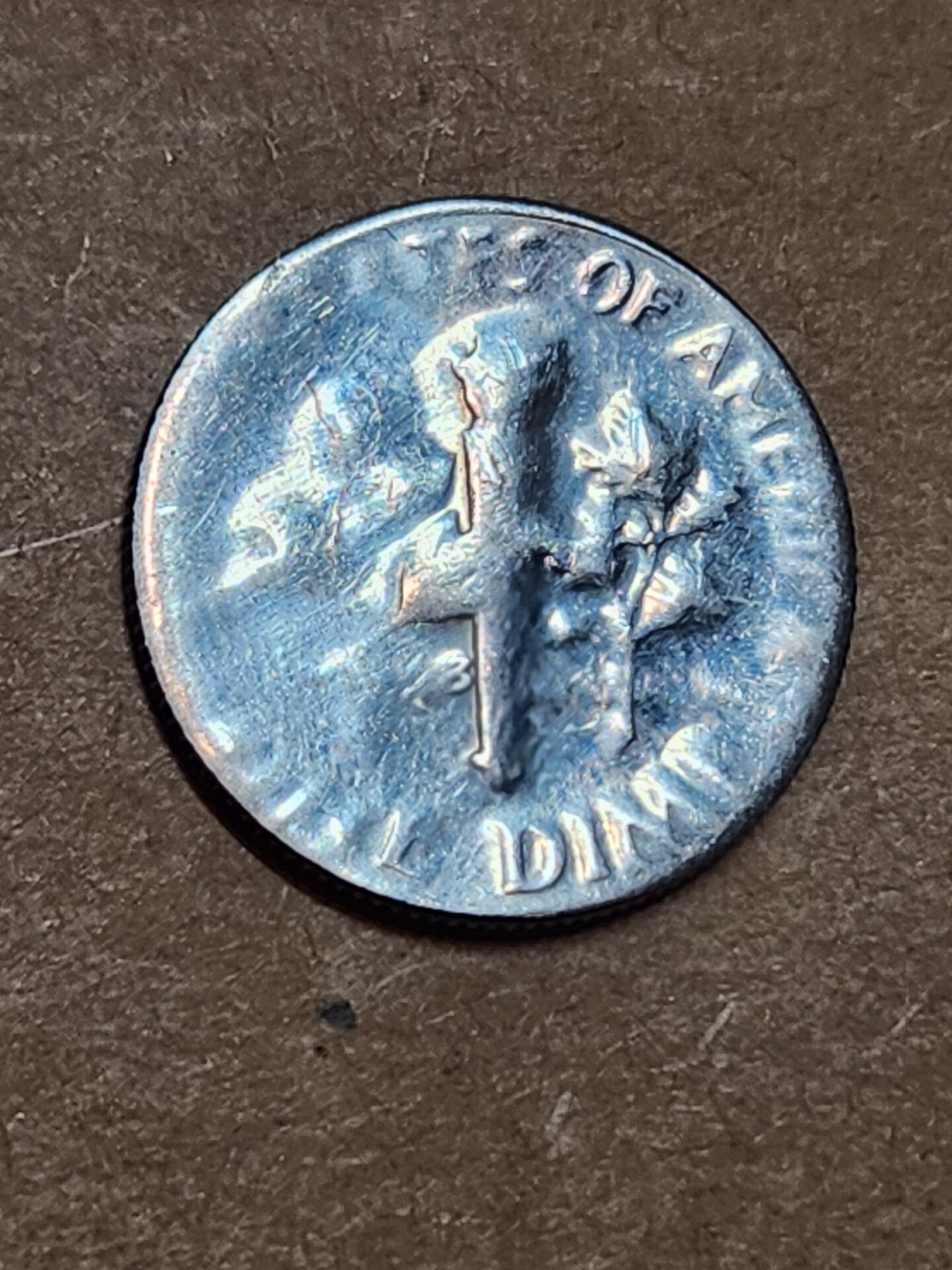 1000116132.jpg