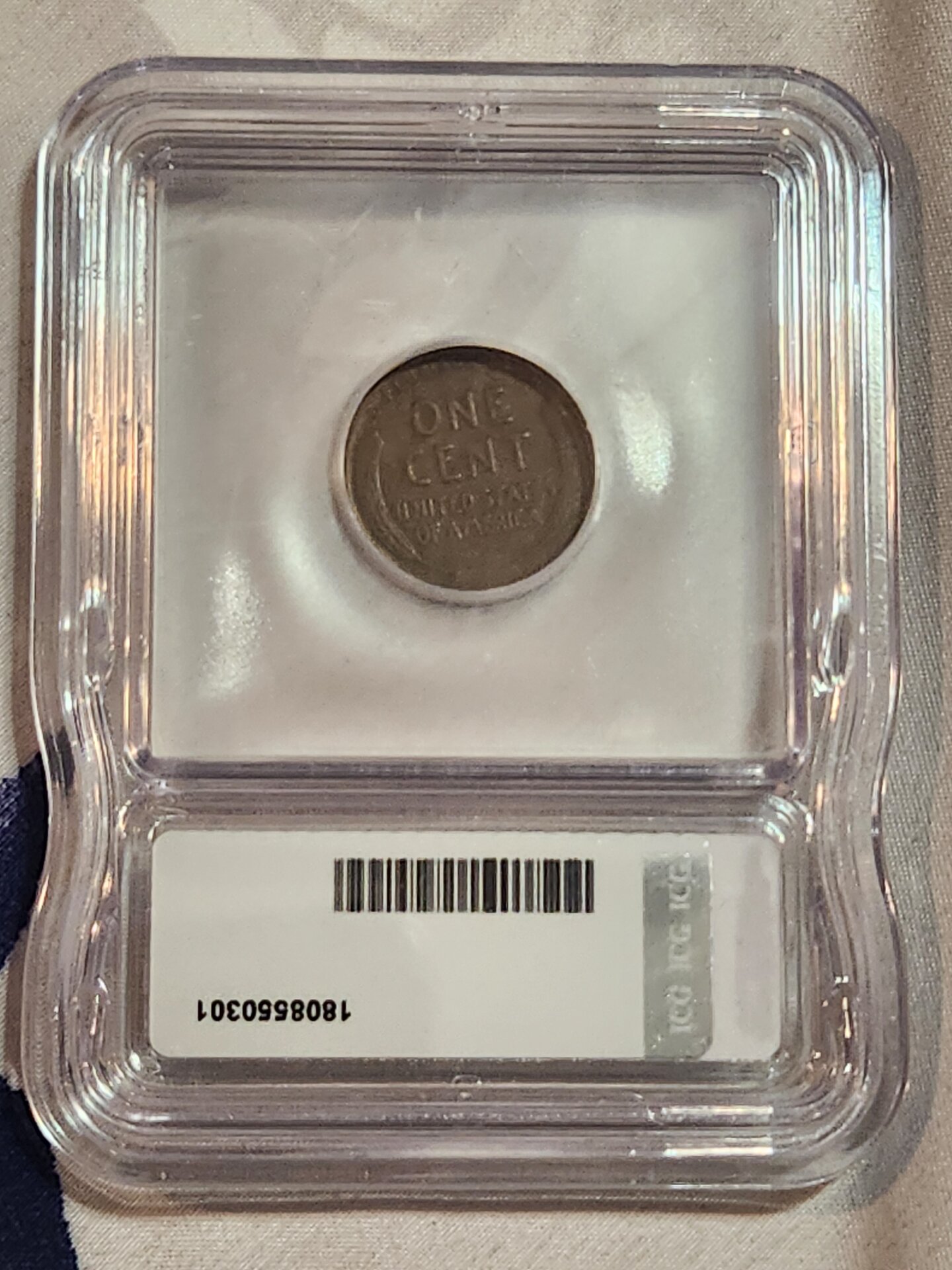 1000116955.jpg