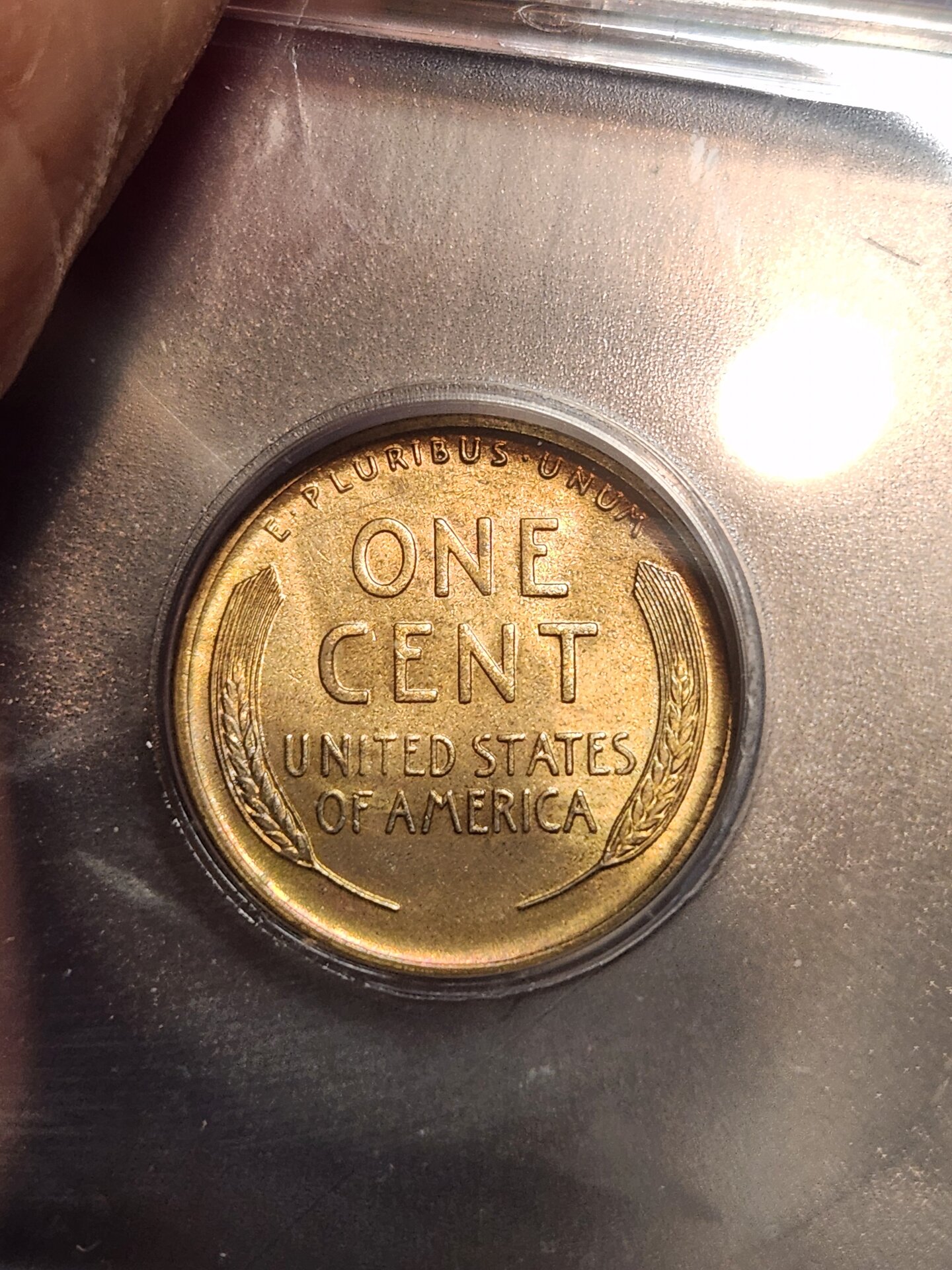 1000117008.jpg