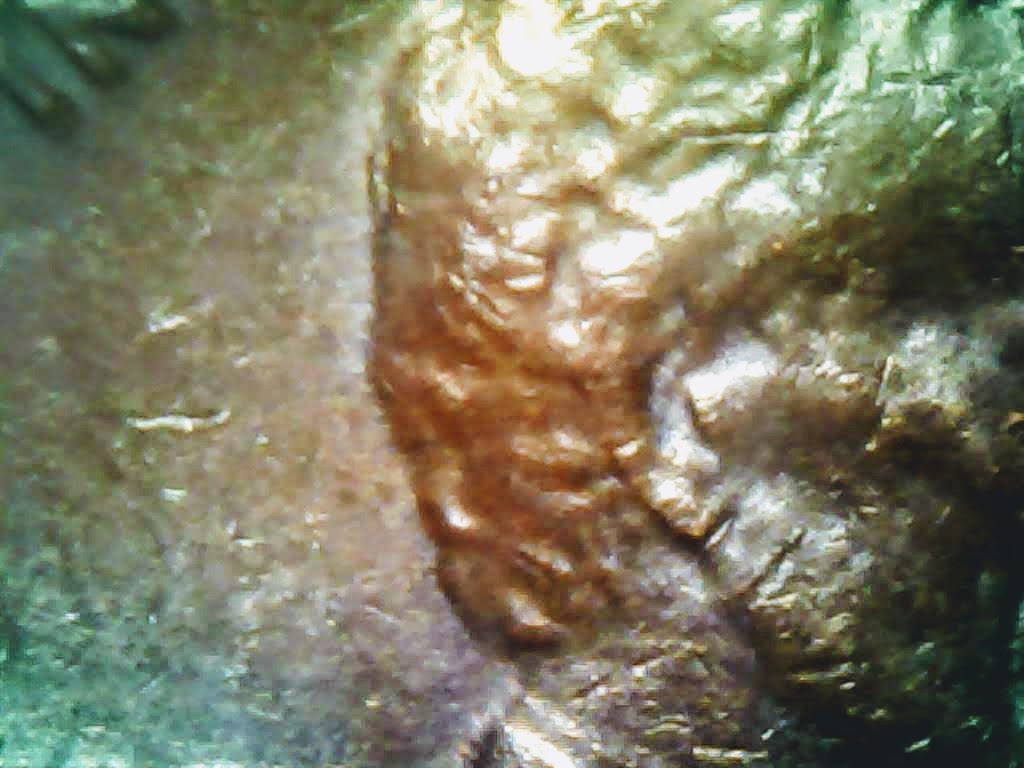 1004-60.jpg