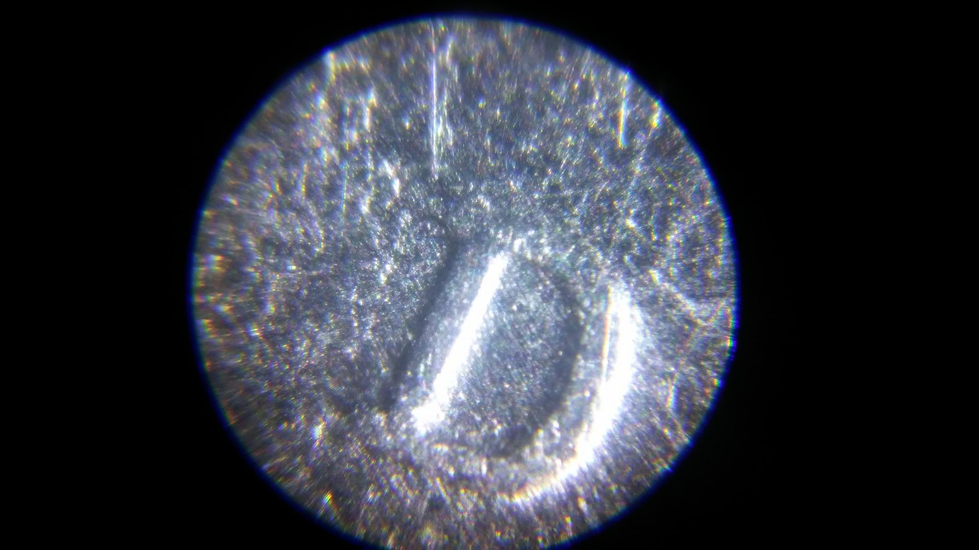 1008200136b_HDR.jpg