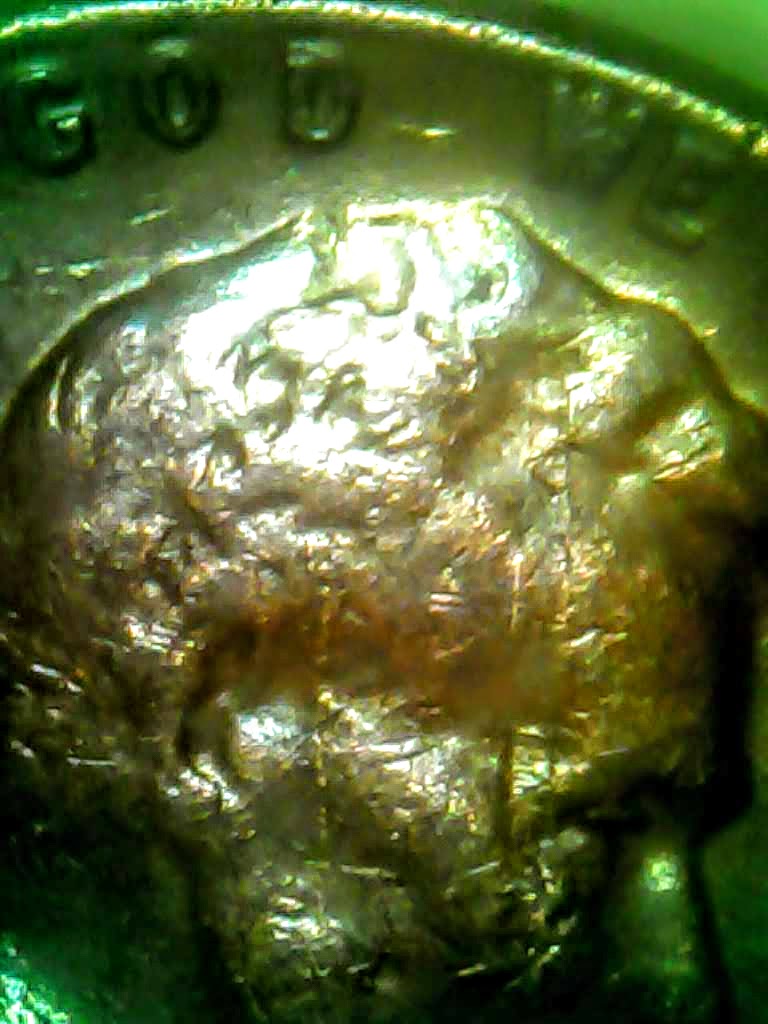 1008_1.jpg