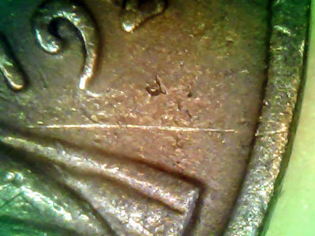 1009_1.jpg