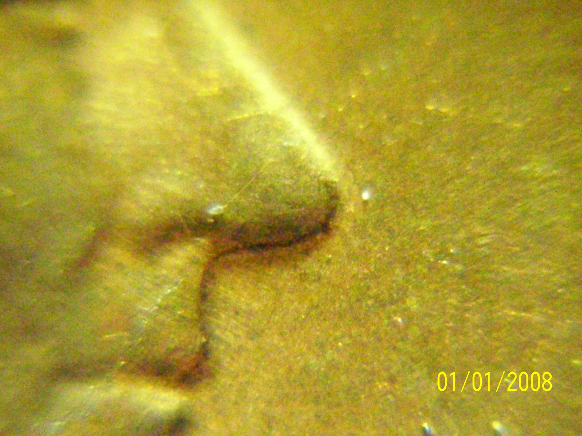 100_0762.JPG