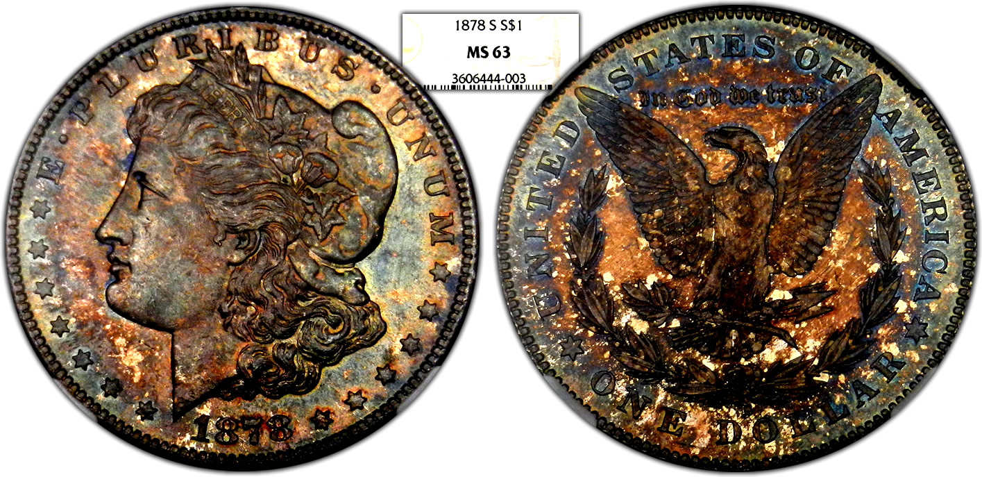 100_1878X2.jpg