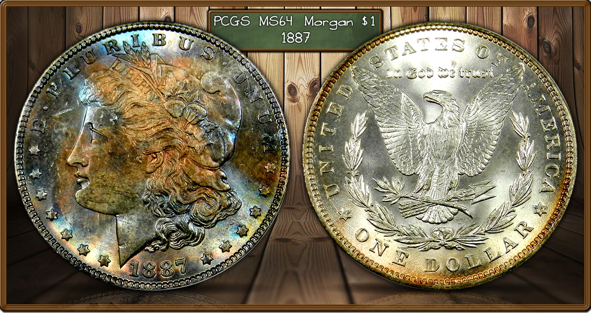 100_1887g.jpg