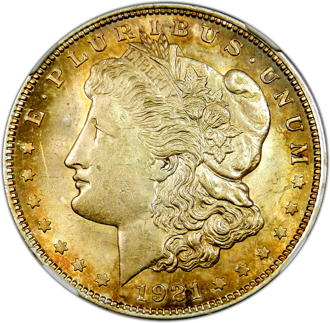 100_1921o.jpg