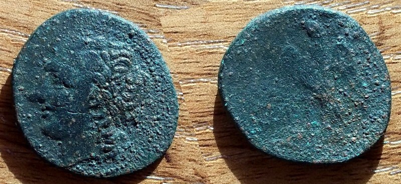 100_4035.JPG