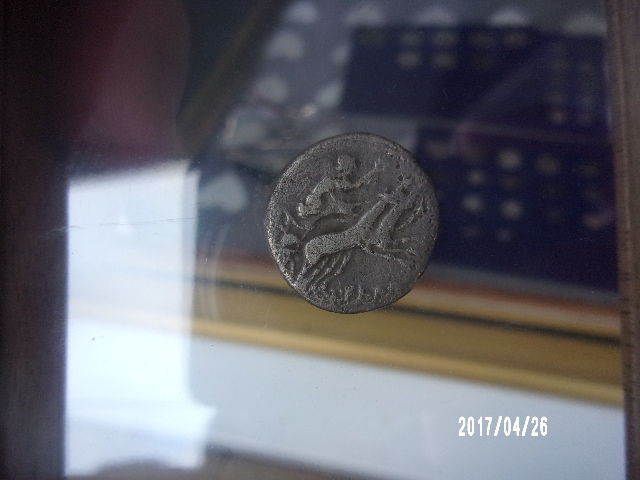 100_4799.JPG