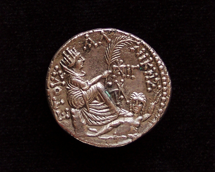 100_4905.JPG