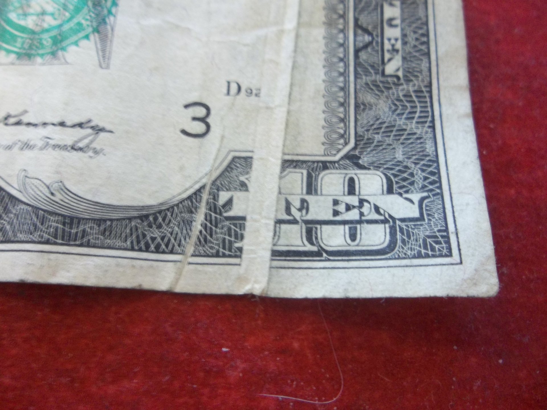 100_5029.JPG
