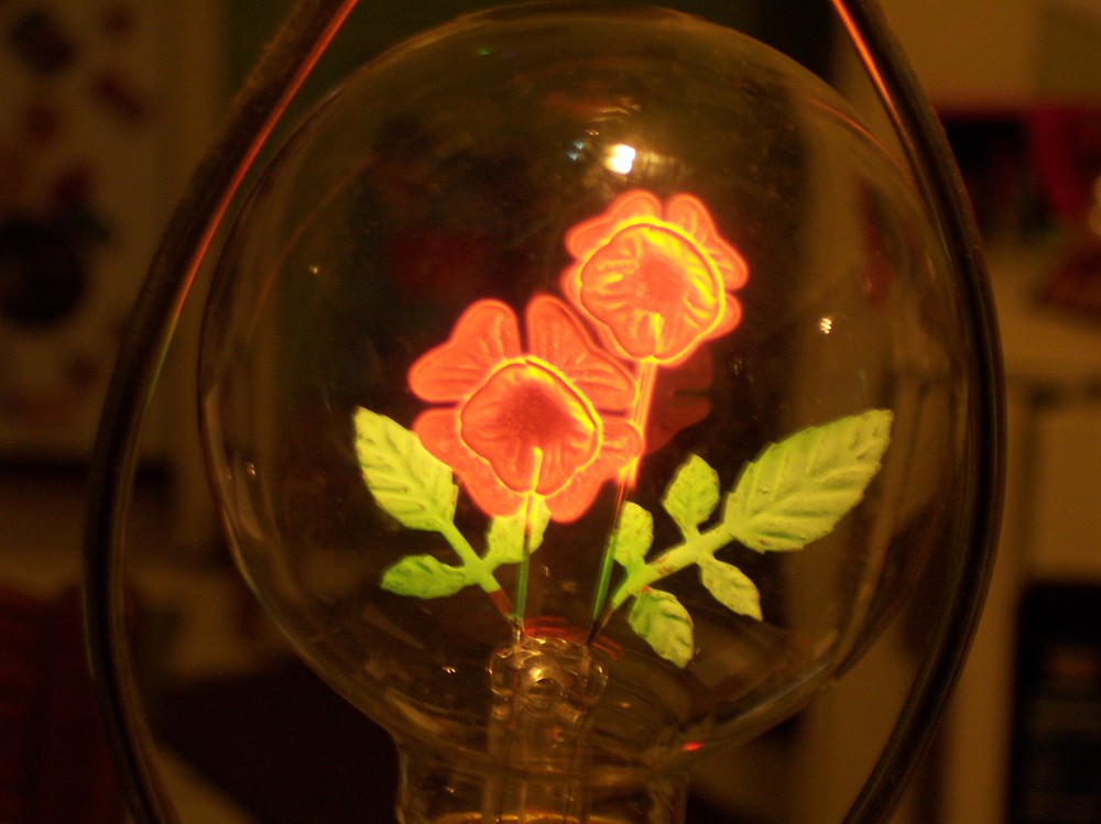 100_5050.JPG