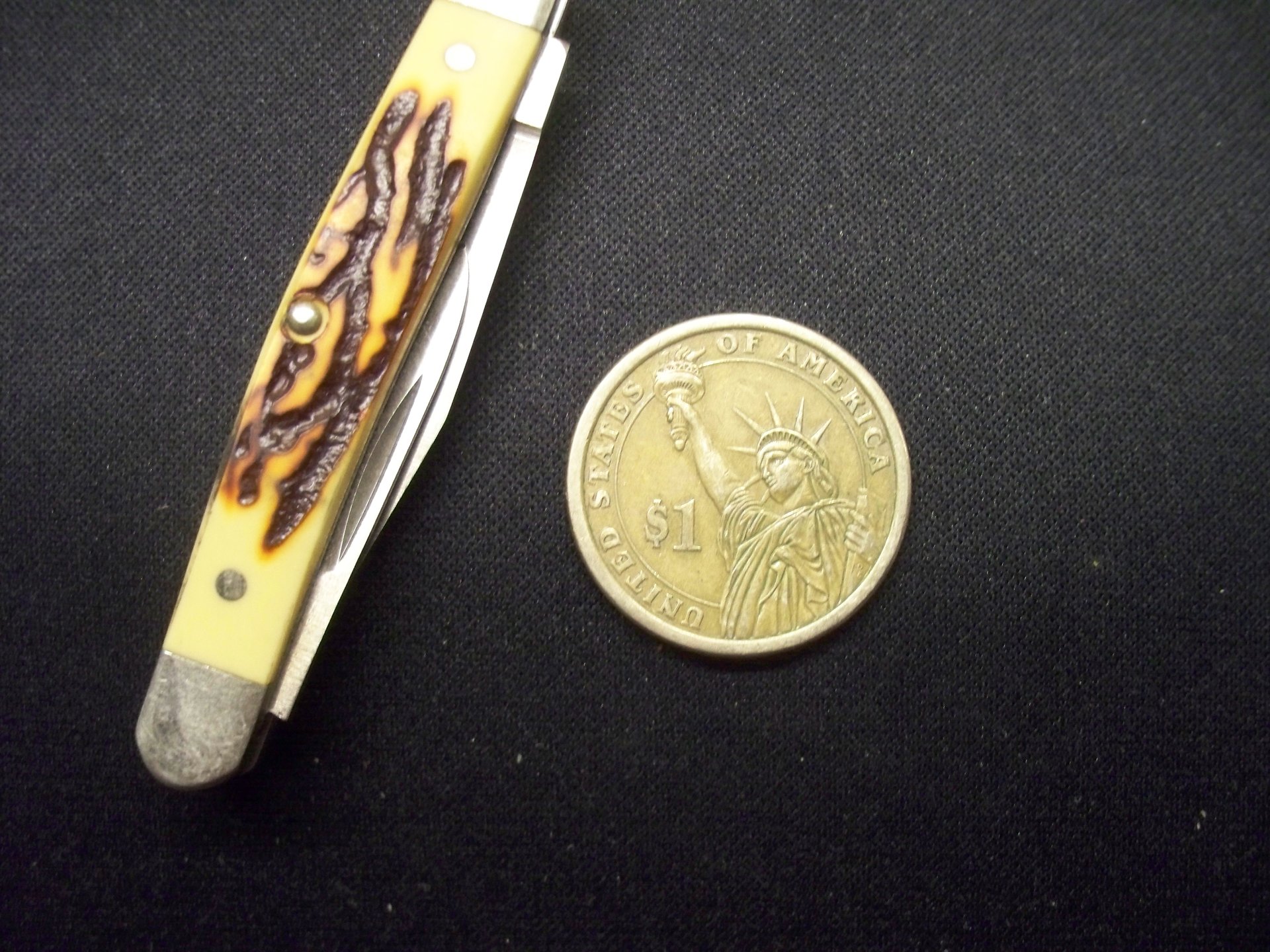 100_6004.JPG