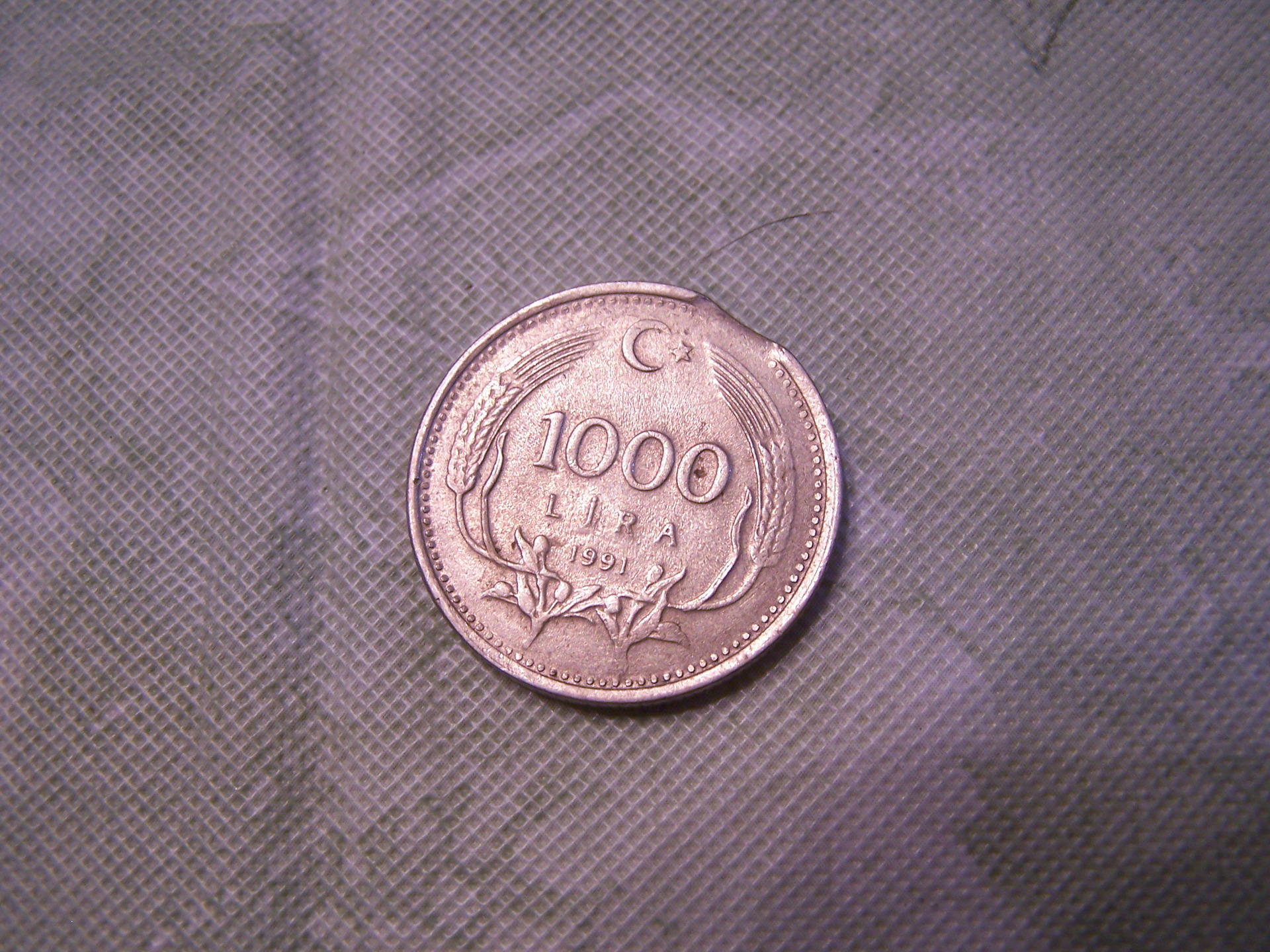 100_6277.JPG