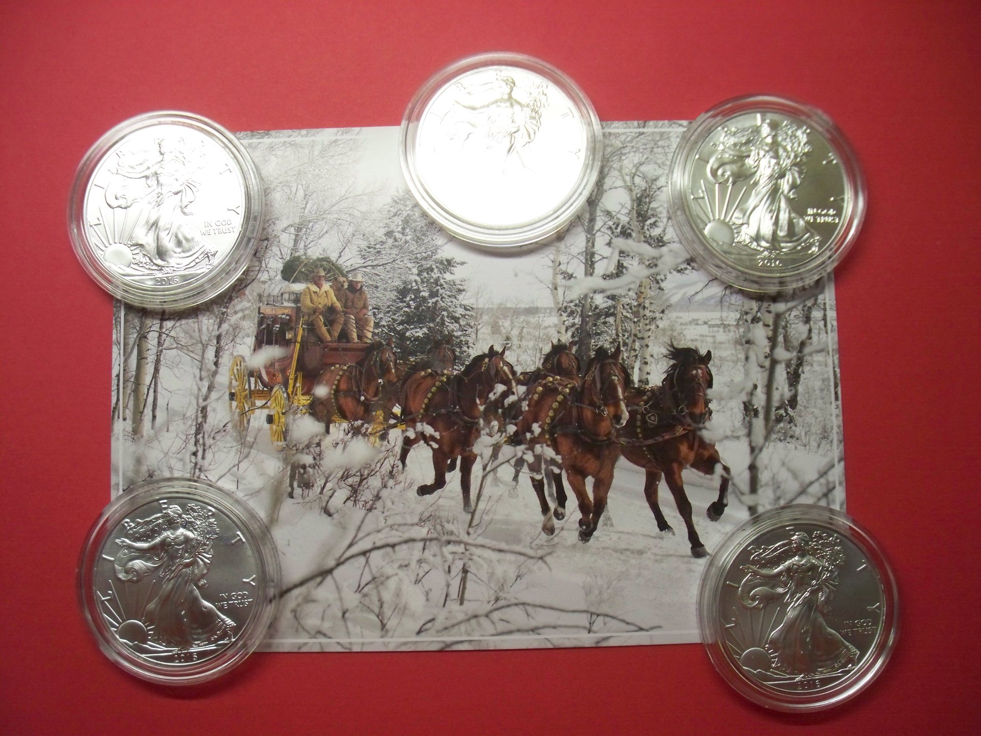 100_7500.JPG