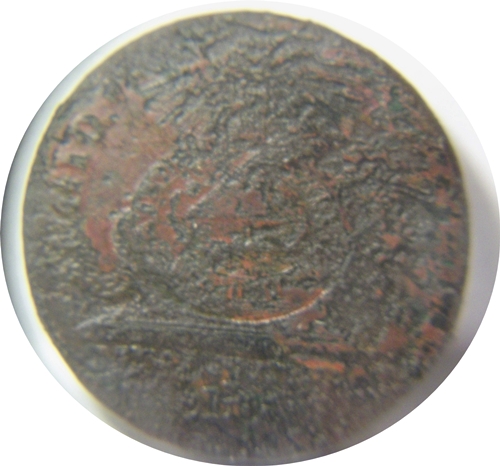 100e1258.jpg