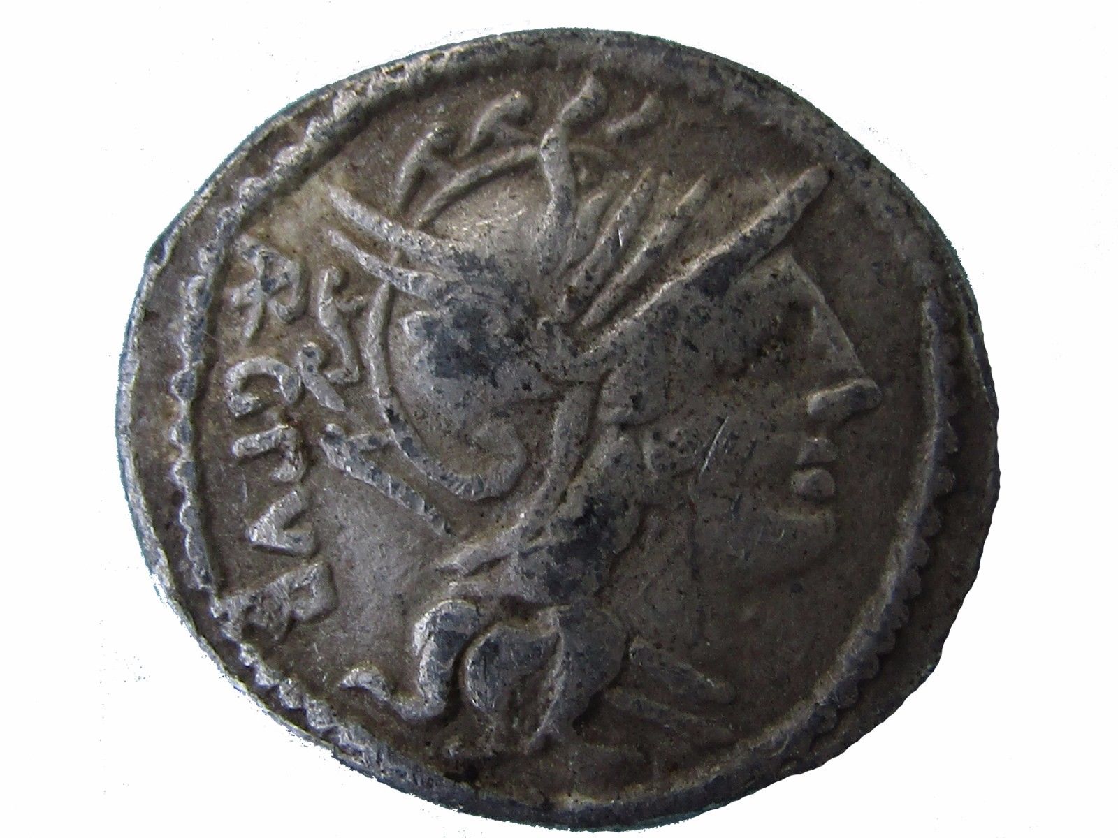 101 BC LUCIUS SENTIUS DENARIUS obv.jpg
