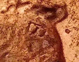 1012190909_HDR.jpg