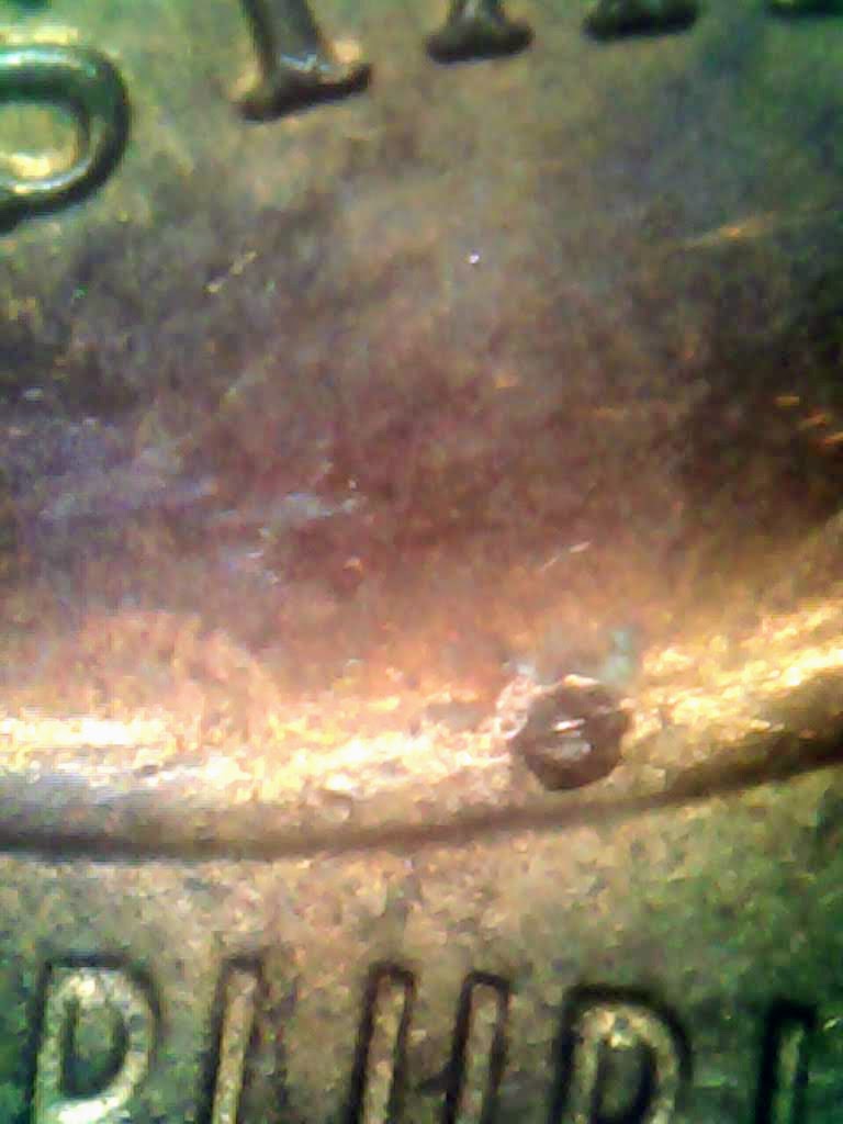 1014-11.jpg