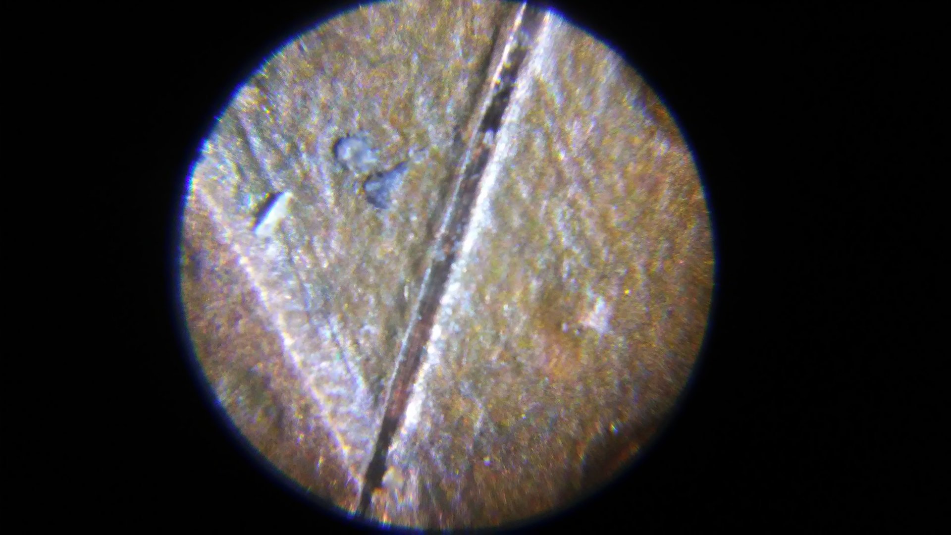 1015200813d.jpg